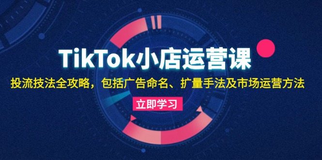 TikTok小店运营课：投流技法全攻略，包括广告命名 扩量手法及市场运营方法-爱我搜(25so)资源网