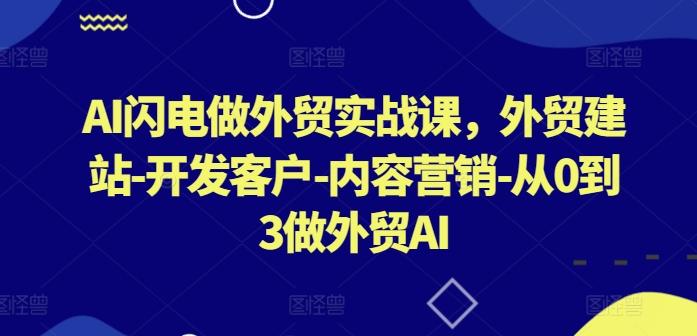 AI闪电做外贸实战课，​外贸建站-开发客户-内容营销-从0到3做外贸AI-爱我搜(25so)资源网