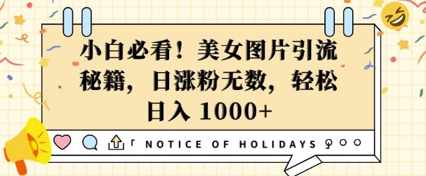 小白必看，美女图片引流秘籍，日涨粉无数，轻松日入几张【揭秘】-爱我搜(25so)资源网
