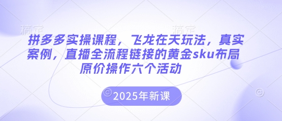 拼多多实操课程，飞龙在天玩法，真实案例，直播全流程链接的黄金sku布局原价操作六个活动-爱我搜(25so)资源网