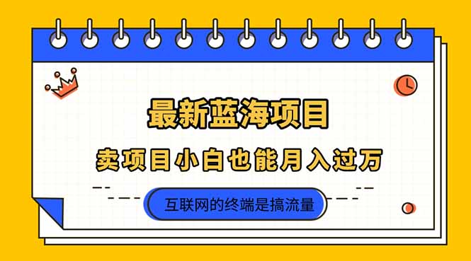 2025年最新蓝海项目，卖项目小白也能月入过万-爱我搜(25so)资源网