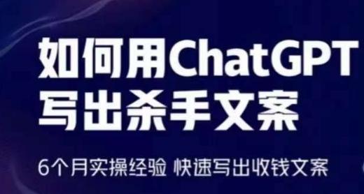 如何用ChatGPT写出杀手文案，6个月实操经验，快速写出收钱文案-爱我搜(25so)资源网