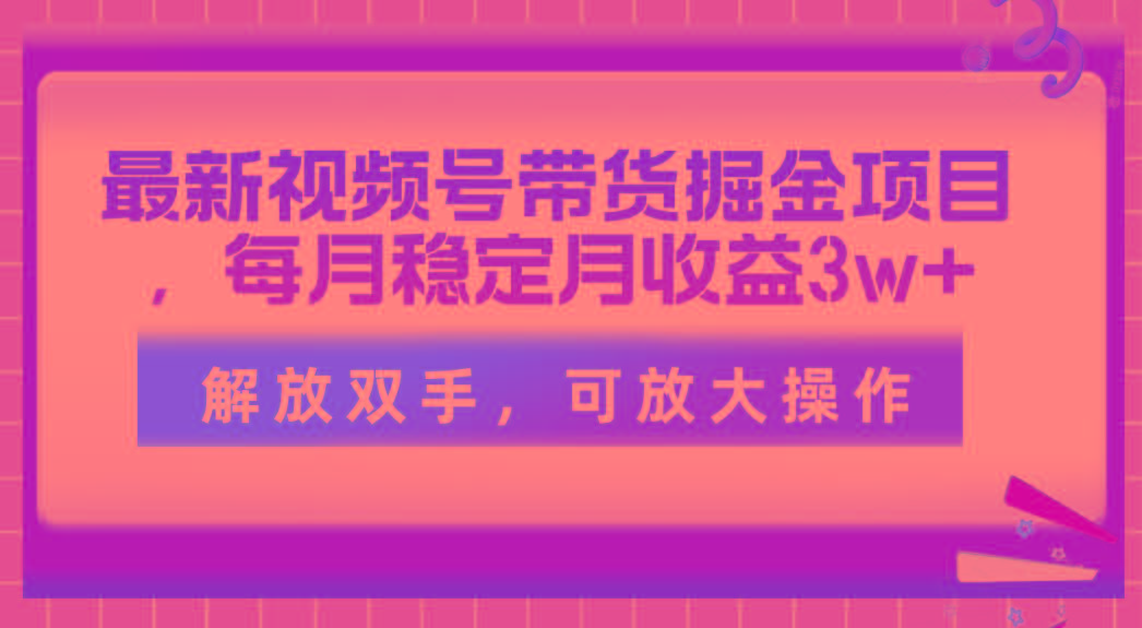 最新视频号带货掘金项目，每月稳定月收益3w+，解放双手，可放大操作-爱我搜(25so)资源网