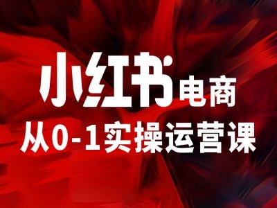 小红书电商从0-1实操运营课，让你从小白到精英-爱我搜(25so)资源网
