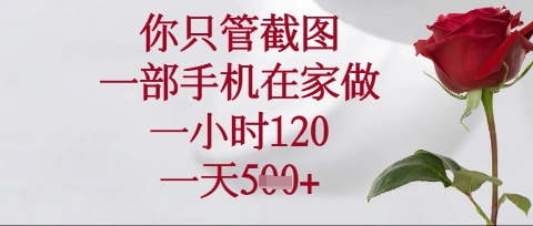 你只管截图，一部手机在家操作，一小时120.一天5张【揭秘】-爱我搜(25so)资源网