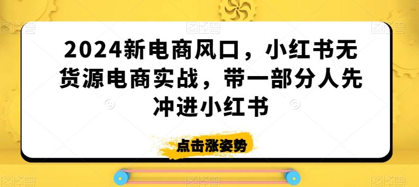 2024新电商风口，小红书无货源电商实战，带一部分人先冲进小红书-爱我搜(25so)资源网