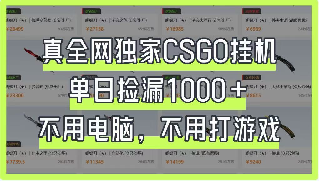 真全网独家CSGO挂机，单日捡漏1000+，不用电脑，不用养号-爱我搜(25so)资源网