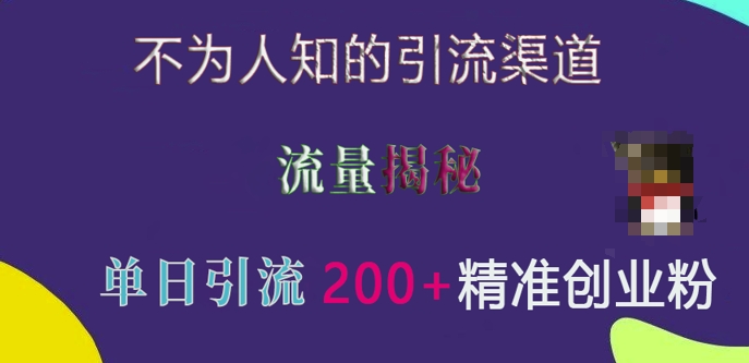 不为人知的引流渠道，流量揭秘，实测单日引流200+精准创业粉【揭秘】-爱我搜(25so)资源网