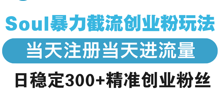 Soul暴力截流创业粉玩法，当天注册当天进流量，日稳定300+精准创业粉丝-爱我搜(25so)资源网
