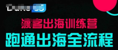 出海训练营基础课，​跑通出海全流程，实战案例拆解-爱我搜(25so)资源网