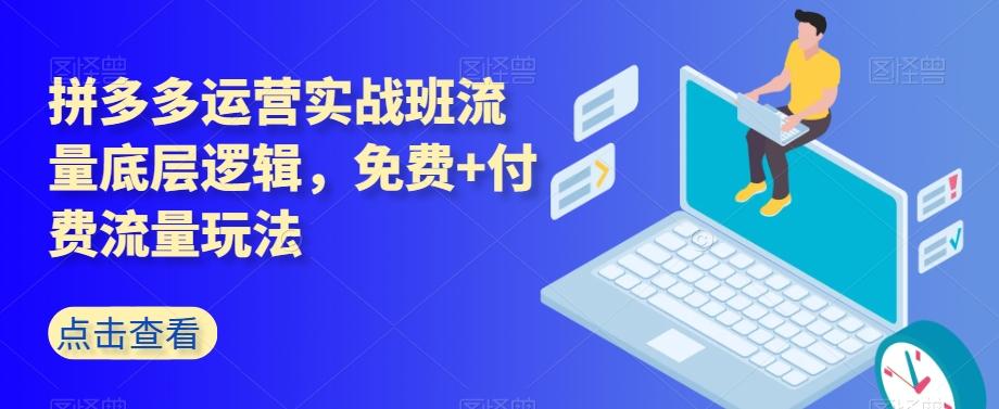 拼多多运营实战班流量底层逻辑，免费+付费流量玩法-爱我搜(25so)资源网