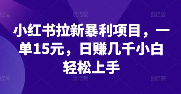 小红书拉新暴利项目，一单15元，日赚几千小白轻松上手【揭秘】-爱我搜(25so)资源网