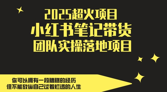 2025超火项目，副业最佳选择，小红书笔记带货团队实操落地项目，，轻松日入5张-爱我搜(25so)资源网