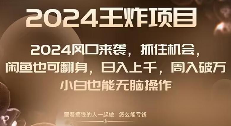 2024风口项目来袭，抓住机会，闲鱼也可翻身，日入上千，周入破万，小白也能无脑操作-爱我搜(25so)资源网