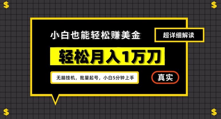 谷歌看广告撸美金2.0，无脑挂机，多号操作，月入1万刀【揭秘】-爱我搜(25so)资源网