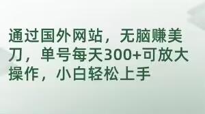 通过国外网站，无脑赚美刀，单号每天300+可放大操作，小白轻松上手【揭秘】-爱我搜(25so)资源网