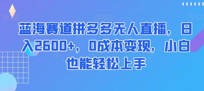 蓝海赛道拼多多无人直播，日入2600+，0成本变现，小白也能轻松上手【揭秘】-爱我搜(25so)资源网