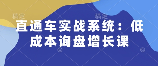 直通车实战系统：低成本询盘增长课，让个人通过技能实现升职加薪，让企业低成本获客，订单源源不断-爱我搜(25so)资源网