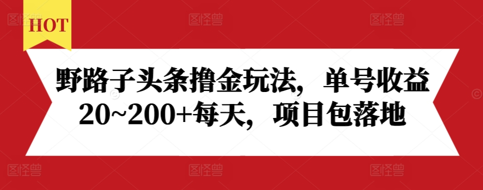 野路子头条撸金玩法，单号收益20~200+每天，项目包落地-爱我搜(25so)资源网