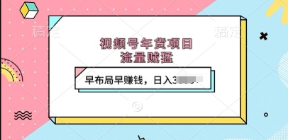 视频号年货项目，流量贼猛，早布局早挣钱，日入上k【揭秘】-爱我搜(25so)资源网