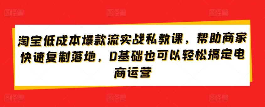 淘宝低成本爆款流实战私教课，帮助商家快速复制落地，0基础也可以轻松搞定电商运营-爱我搜(25so)资源网