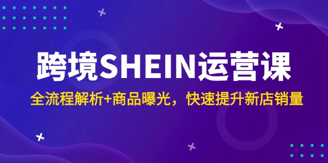 跨境SHEIN运营课，全流程解析+商品曝光，快速提升新店销量-爱我搜(25so)资源网