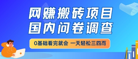 网创搬砖项目，国内问卷调查，小白轻松上手，一天三四张的也不难，干就完了【揭秘】-爱我搜(25so)资源网
