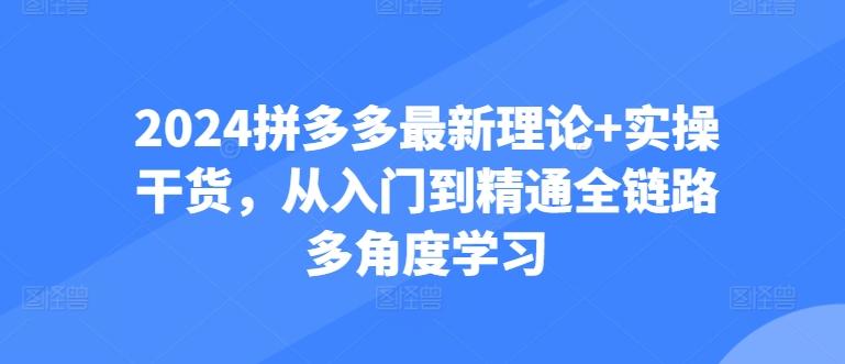 2024拼多多最新理论+实操干货，从入门到精通全链路多角度学习-爱我搜(25so)资源网