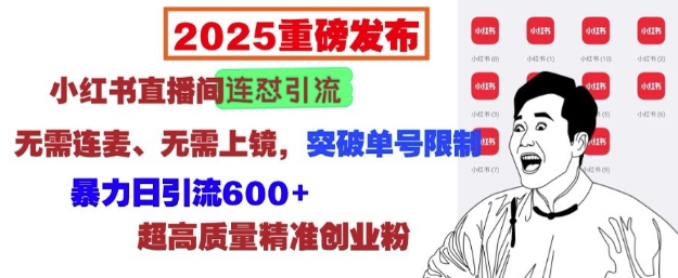 2025重磅发布：小红书直播间连怼引流，无需连麦、无需上镜，突破单号限制，暴力日引流600+-爱我搜(25so)资源网