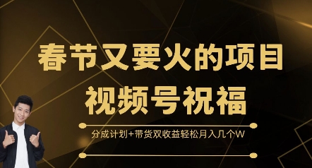 春节又要火的项目视频号祝福，分成计划+带货双收益，轻松月入几个W【揭秘】-爱我搜(25so)资源网