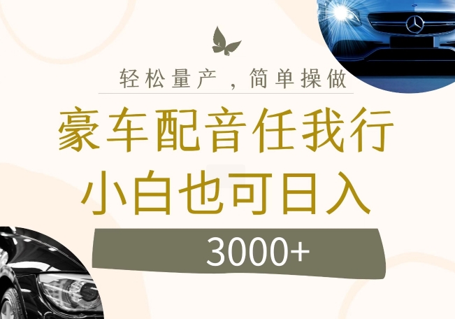 不为人知的暴力小项目，豪车配音，日入几张【揭秘】-爱我搜(25so)资源网