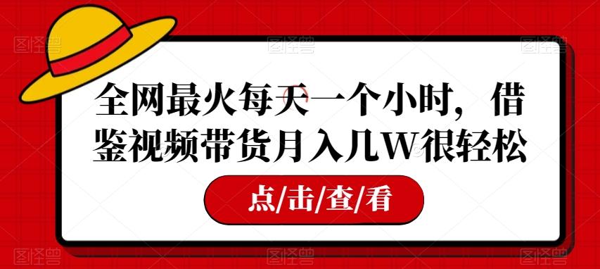 全网最火每天一个小时，借鉴视频带货月入几W很轻松【揭秘】-爱我搜(25so)资源网