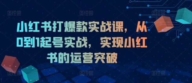 小红书打爆款实战课，从0到1起号实战，实现小红书的运营突破-爱我搜(25so)资源网