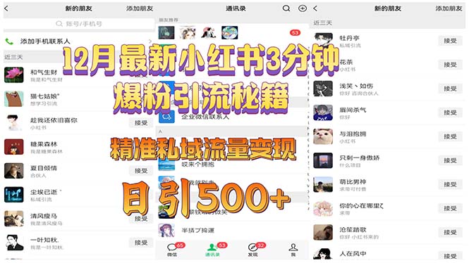 12月最新小红书3分钟爆粉引流秘籍 精准私域流量变现 日引500+-爱我搜(25so)资源网