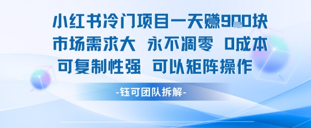 小红书冷门项目一天收益9张，市场需求大，0成本，可复制性强可以矩阵操作-爱我搜(25so)资源网