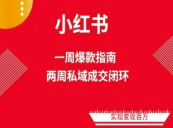 爆款小红书免费流量体系课程(两周变现)，小红书电商教程-爱我搜(25so)资源网