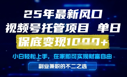 25年最新风口，视频号托管项目，单日保底变现1k+，手把手教学【揭秘】-爱我搜(25so)资源网