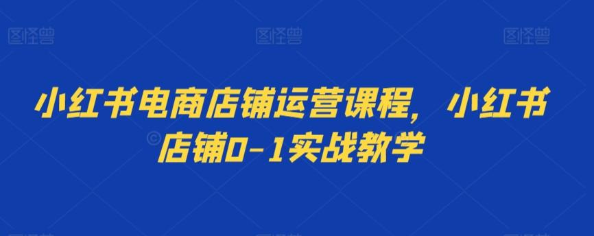 小红书电商店铺运营课程，小红书店铺0-1实战教学-爱我搜(25so)资源网