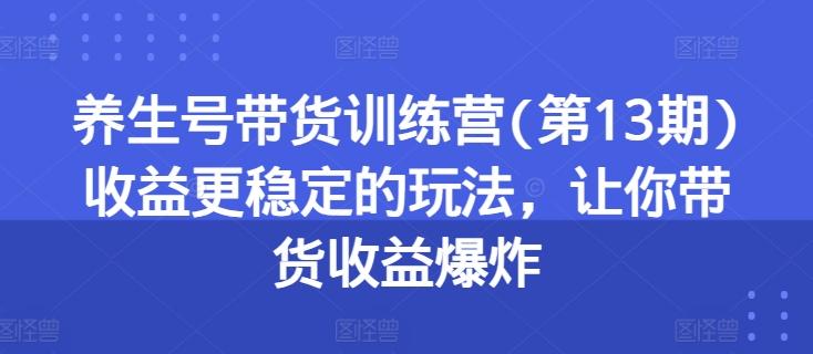 养生号带货训练营(第13期)收益更稳定的玩法，让你带货收益爆炸-爱我搜(25so)资源网