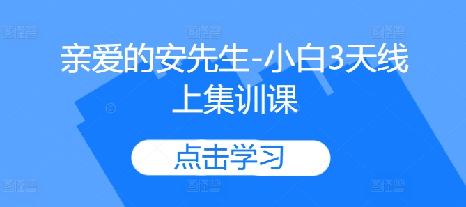 亲爱的安先生-小白3天线上集训课-爱我搜(25so)资源网