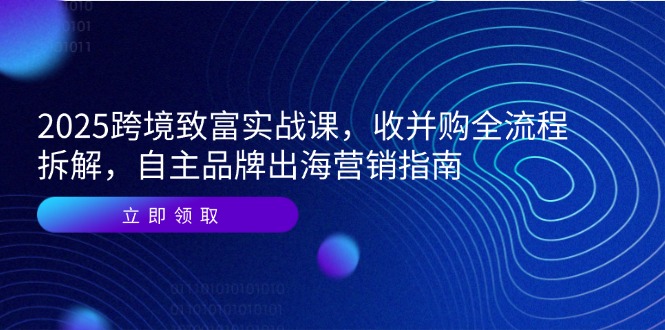 2025跨境致富实战课，收并购全流程拆解，自主品牌出海营销指南-爱我搜(25so)资源网