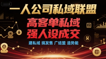 一人公司私域联盟，高客单私域，强人设成交，建私域 搞发售 广结盟 造势能-爱我搜(25so)资源网