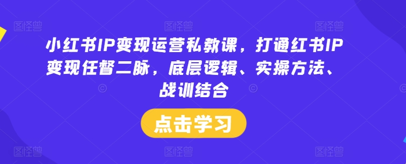 小红书IP变现运营私教课，打通红书IP变现任督二脉，底层逻辑、实操方法、战训结合-爱我搜(25so)资源网