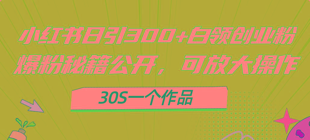 小红书日引300+高质白领创业粉，可放大操作，爆粉秘籍！30s一个作品-爱我搜(25so)资源网