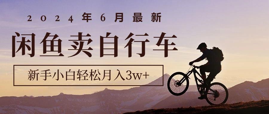 2024年6月最新闲鱼卖自行车，新手小白轻松月入3w+项目-爱我搜(25so)资源网