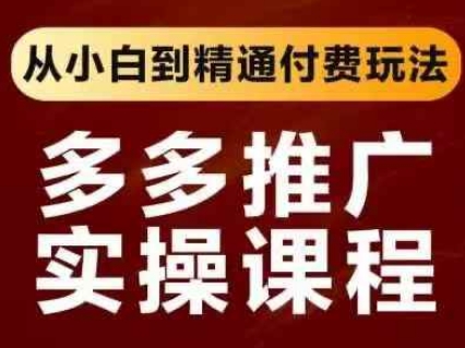 拼多多推广实操课程，从小白到精通付费玩法-爱我搜(25so)资源网