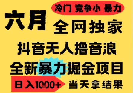 25年6月高爆抖音无人直播最新撸音浪掘金项目，小白可做，无脑日入1k+，门槛低可批量矩阵【揭秘】-爱我搜(25so)资源网
