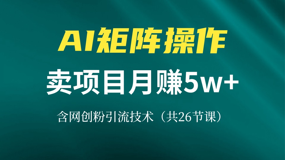 网创IP打造课，借助AI卖项目月赚5万+，含引流技术(共26节课-爱我搜(25so)资源网