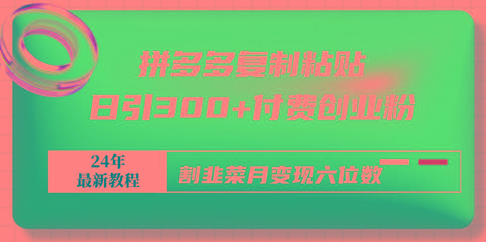 拼多多复制粘贴日引300+付费创业粉，割韭菜月变现六位数最新教程！-爱我搜(25so)资源网