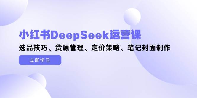 小红书DeepSeek运营课，选品技巧、货源管理、定价策略、笔记封面制作-爱我搜(25so)资源网